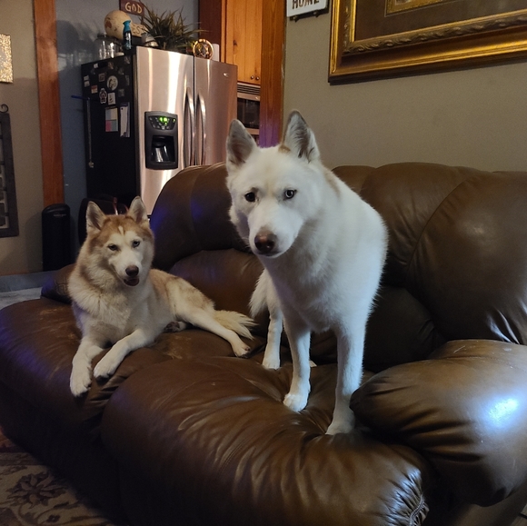 ❤ My Baby Girls ❤ - Picture 10 of 12